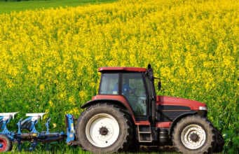Η μόνη αλήθεια για τα Σχέδια Βελτίωσης