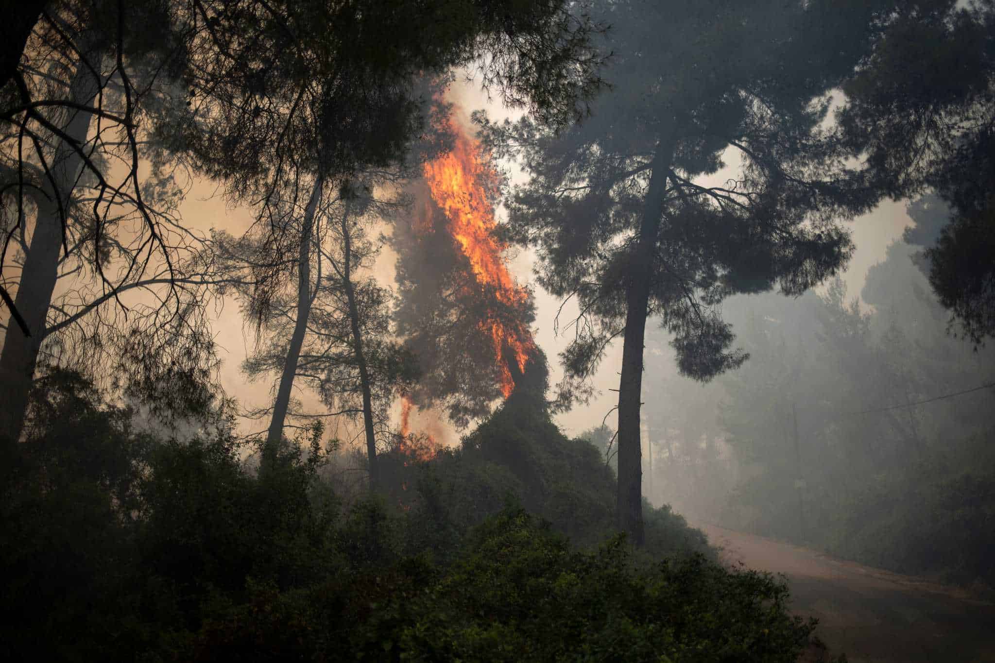 Φωτια Αλεποχωρι Τωρα Live : Fwtia Twra Nea Entolh Ekkenwshs Gia To Alepoxwri Ereynatai To Endexomeno Emprhsmoy Fwto Binteo Bhma Or8odo3ias : We did not find results for: